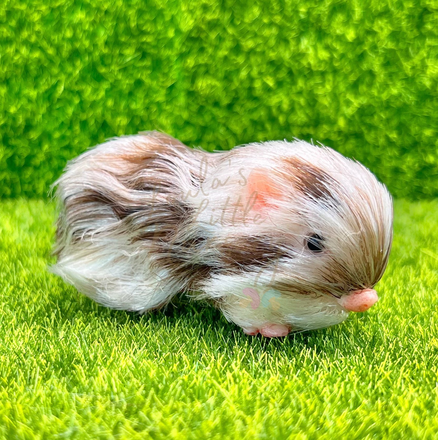 Baby Mocha Piglet In Egg - Teeny Weenie Babies Collection®️