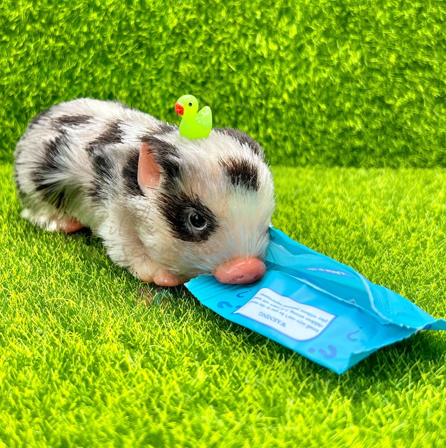 Animal Friend Mystery Bag (One Supplied)