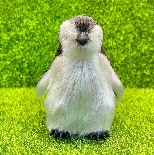 Pip The Baby Penguin