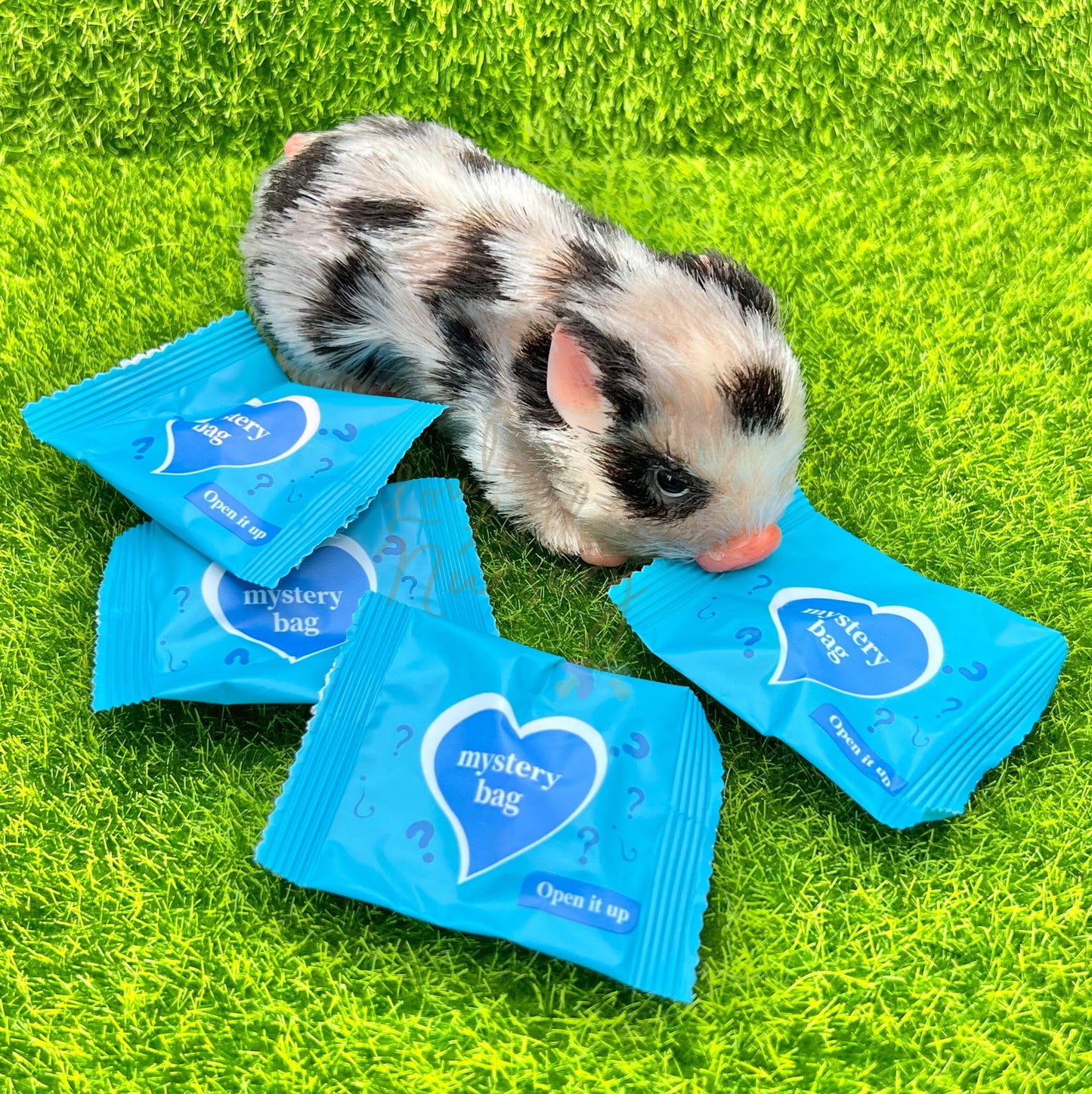Animal Friend Mystery Bag (One Supplied)