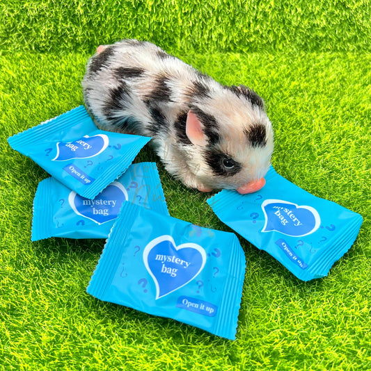 Animal Friend Mystery Bag (One Supplied)