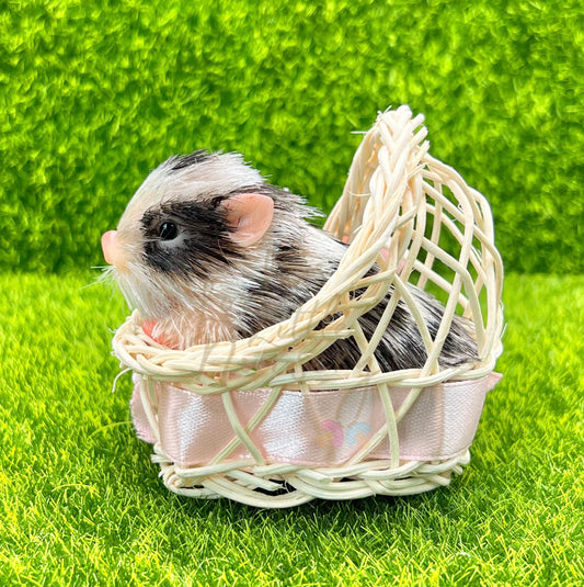 Mini Bassinet For Teeny Weenie Babies®
