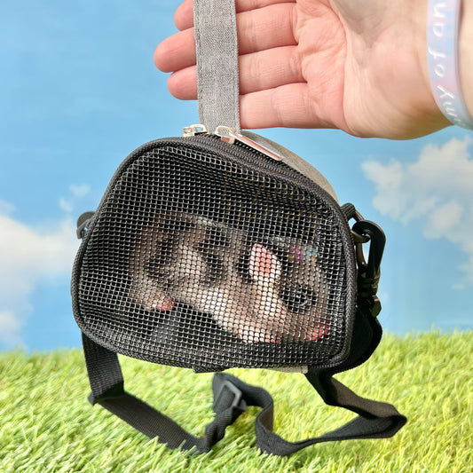 Mesh Carry Pouch