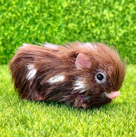 Baby Milkyway Piglet - Teeny Weenie Babies Collection®