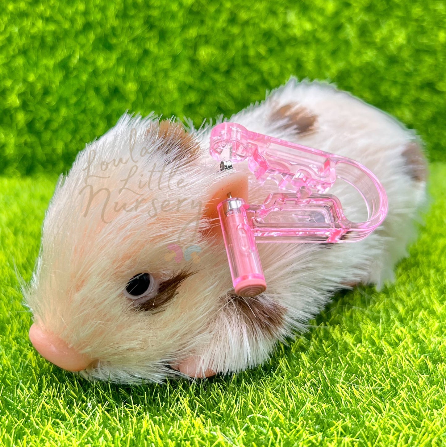 Silicone Animal Ear Piercing Service