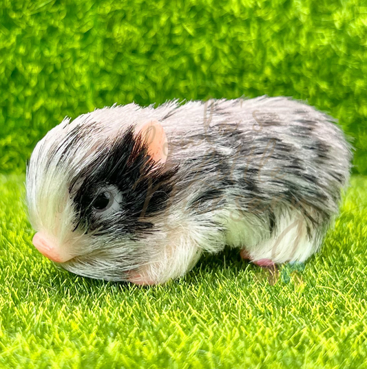 Baby Triple Tone Piglet - Teeny Weenie Babies Collection®