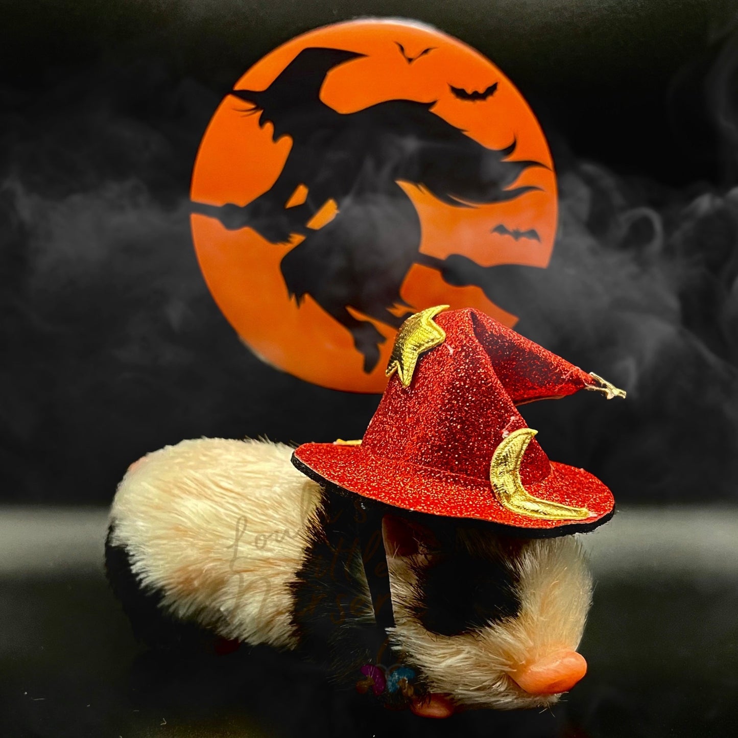 Trick Or Treat Wizard Hat