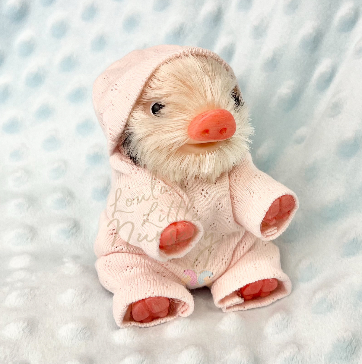 Loula The Gloucestershire Old Spot Piglet - Miniature Reborn Silicone Piglets