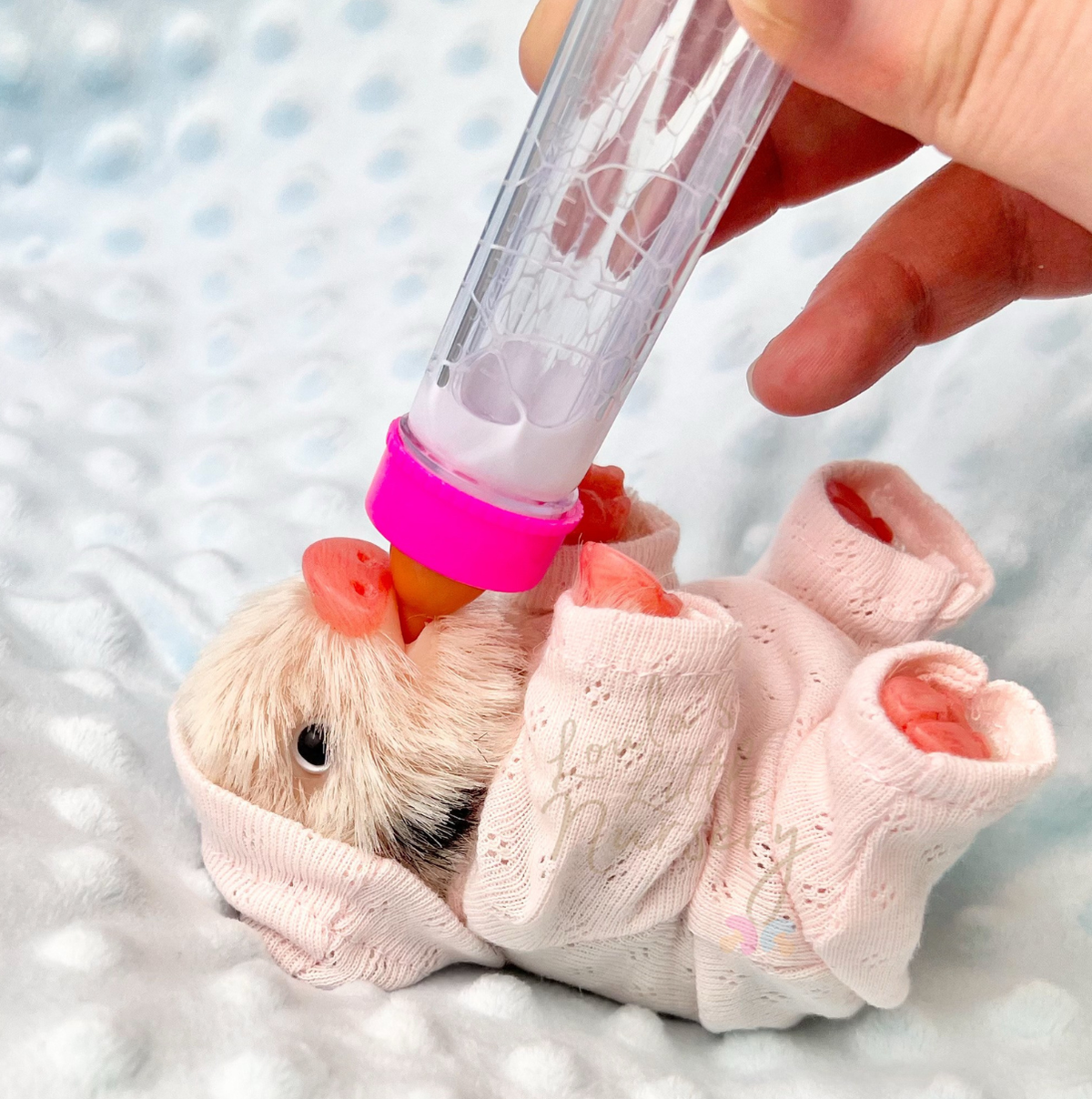 Loula The Gloucestershire Old Spot Piglet - Miniature Reborn Silicone Piglets