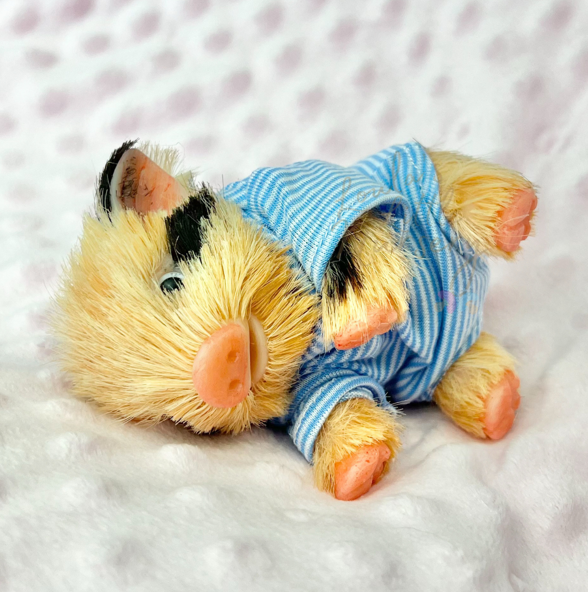 Pumpkin The Oxford Sandy Piglet - Miniature Reborn Silicone Piglets