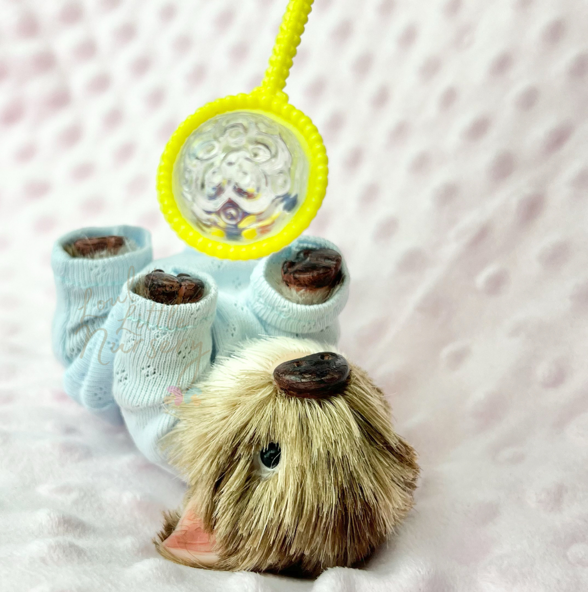 Chip The Juliana American Piglet - Miniature Reborn Silicone Piglets