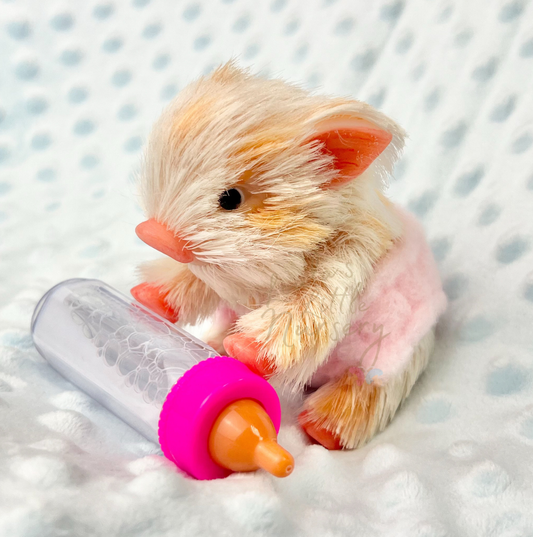 Jellybean The British KuneKune Piglet - Miniature Reborn Silicone Piglets