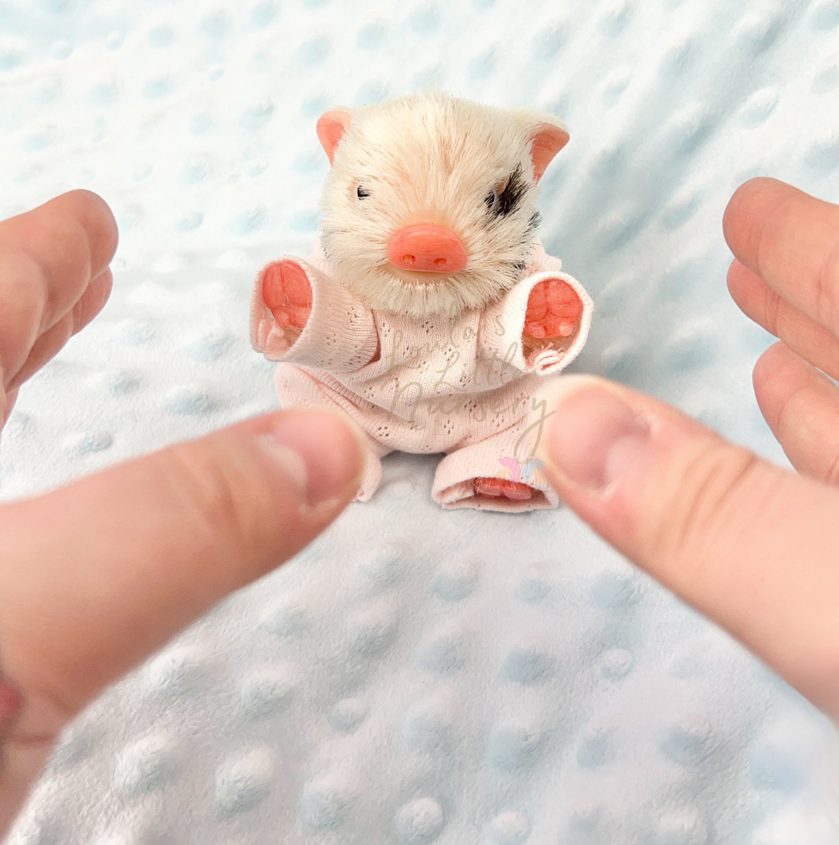Loula The Gloucestershire Old Spot Piglet - Miniature Reborn Silicone Piglets
