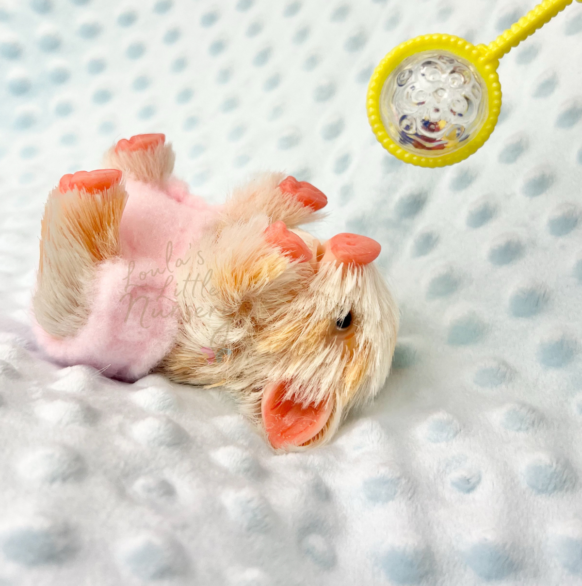 Jellybean The British KuneKune Piglet - Miniature Reborn Silicone Piglets