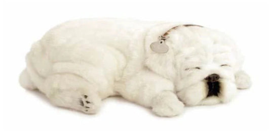 White Bulldog - Precious Petzzz