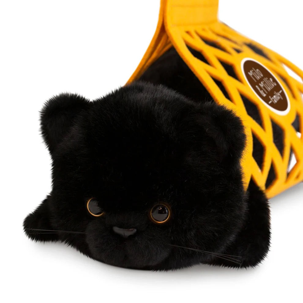 Milo The Black Cat Plush (35cm & 56cm) - Orange Toys Milo & Millie Family
