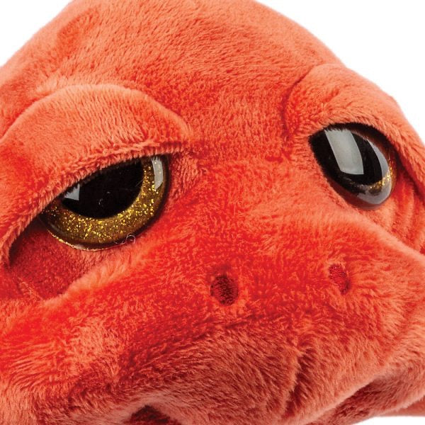 Marnie Turtle Plush - Suki Sealife