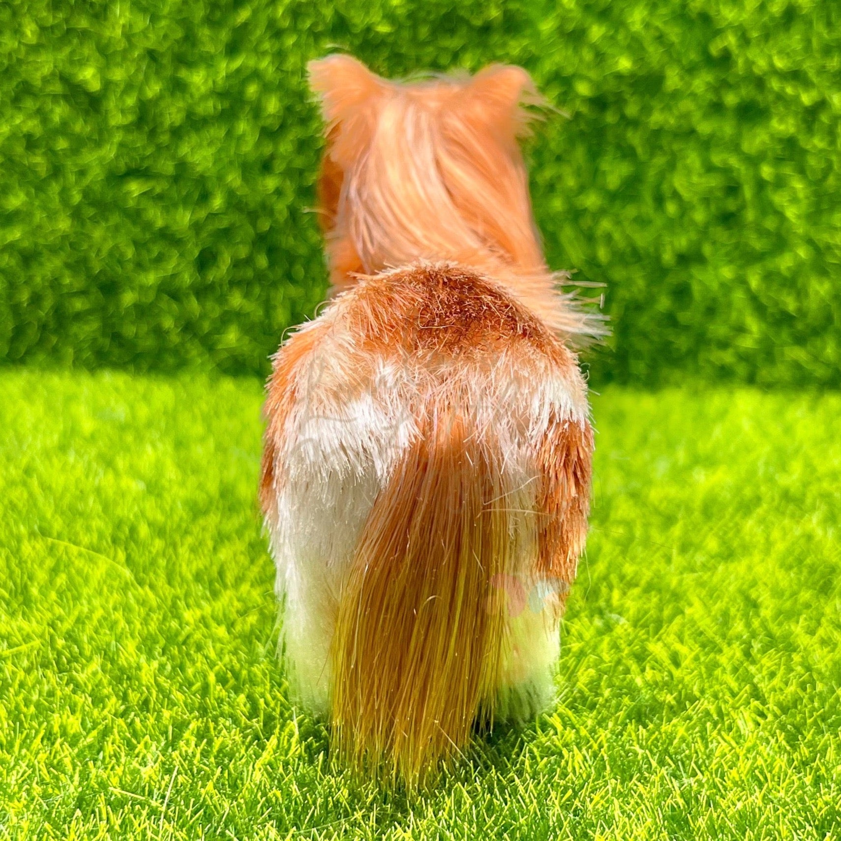 Biscuit The Miniature Shetland Pony - Loula’s Little Nursery