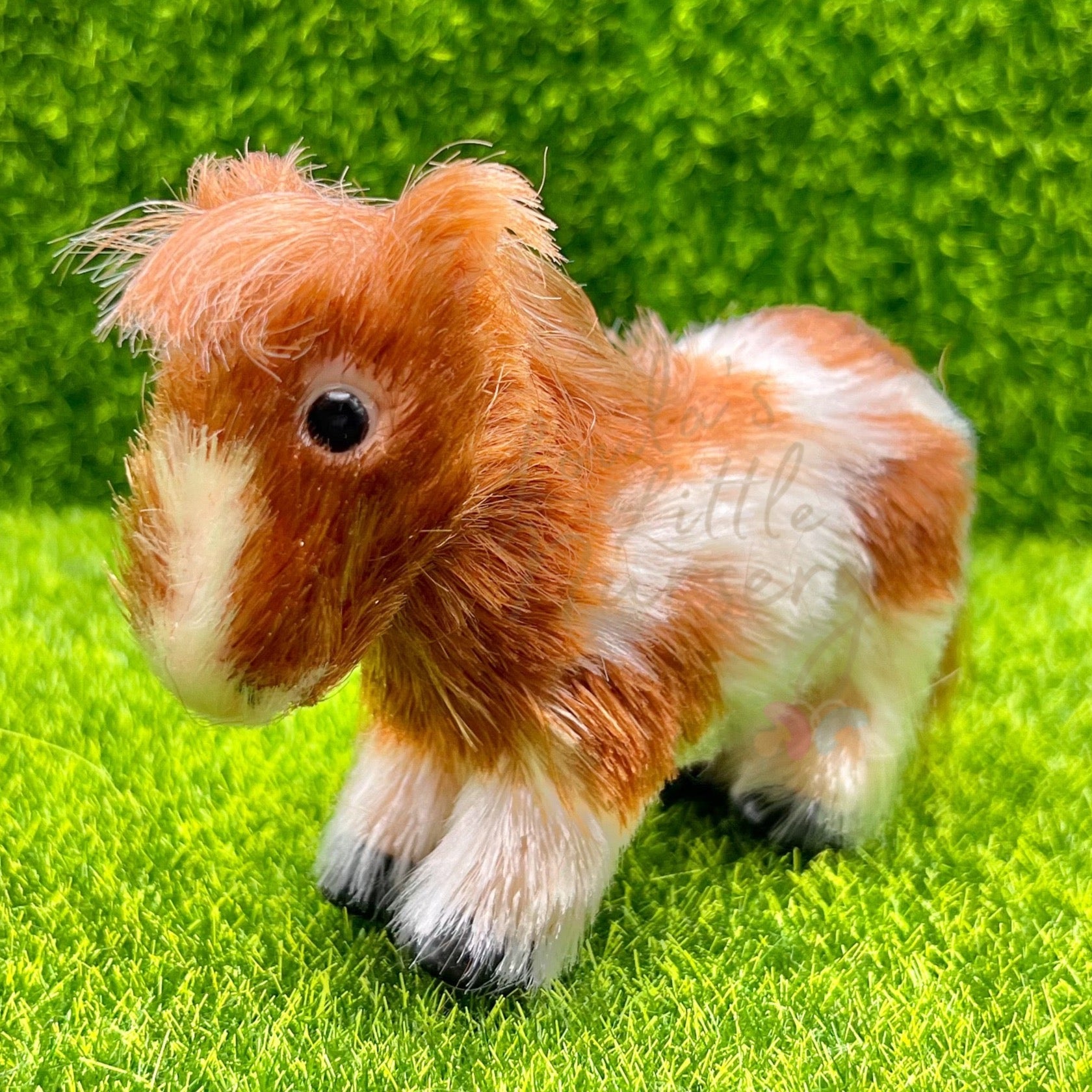 Biscuit The Miniature Shetland Pony - Loula’s Little Nursery