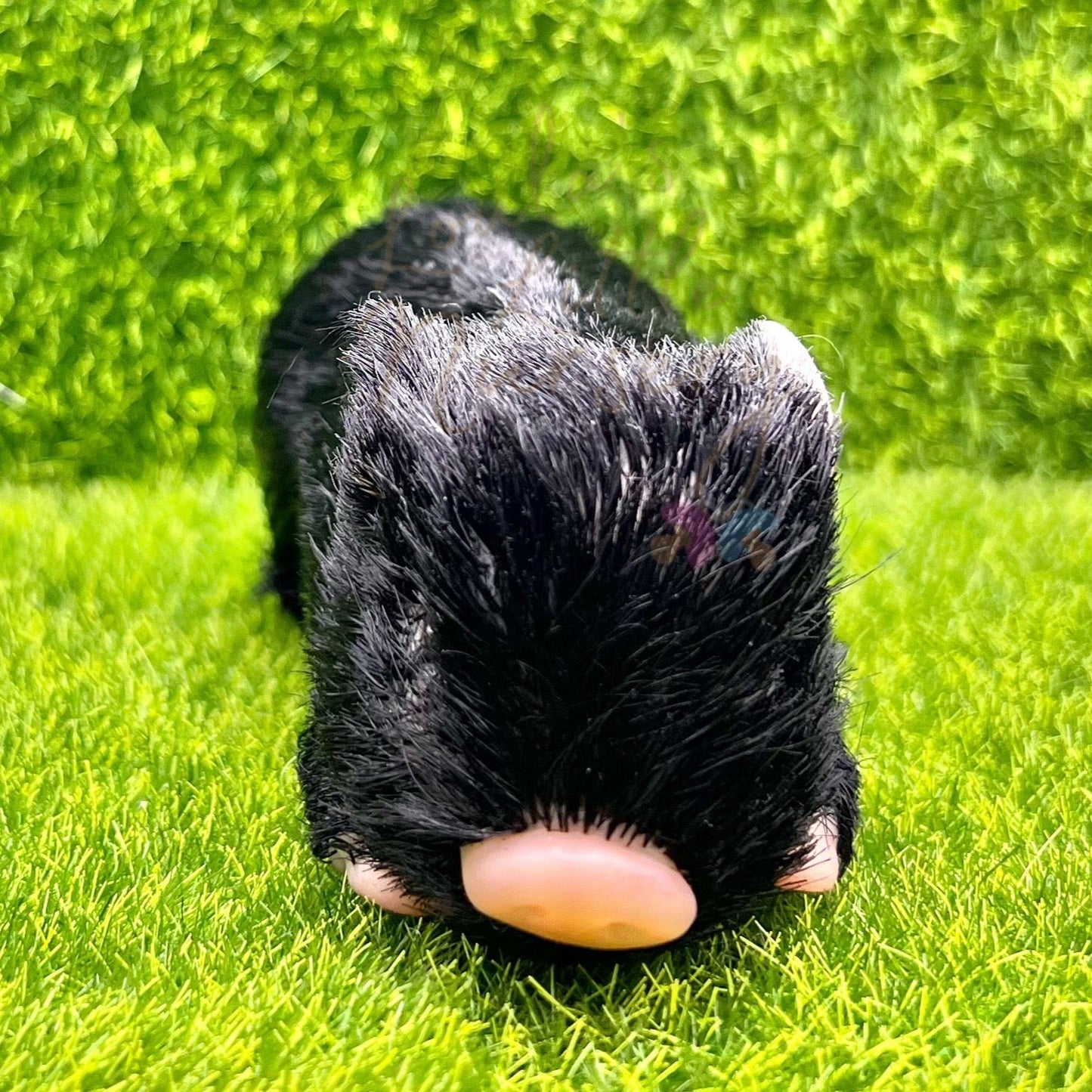 Black Velvet Piglet - Loula’s Little Nursery