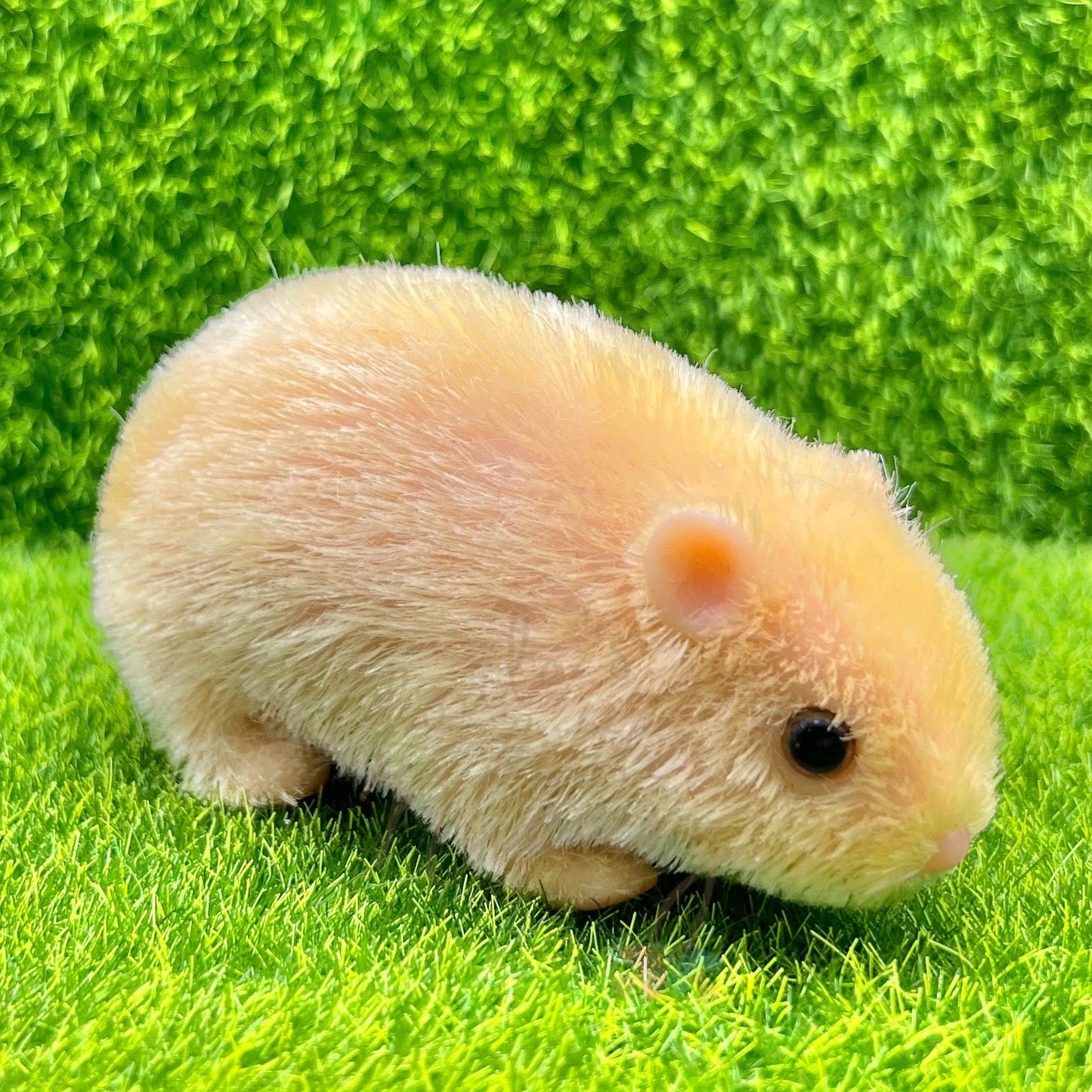 Blonde Syrian Hamster - Loula’s Little Nursery