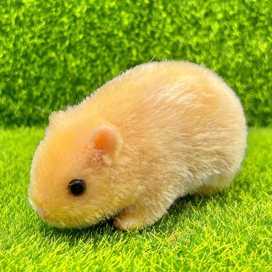 Blonde Syrian Hamster - Loula’s Little Nursery