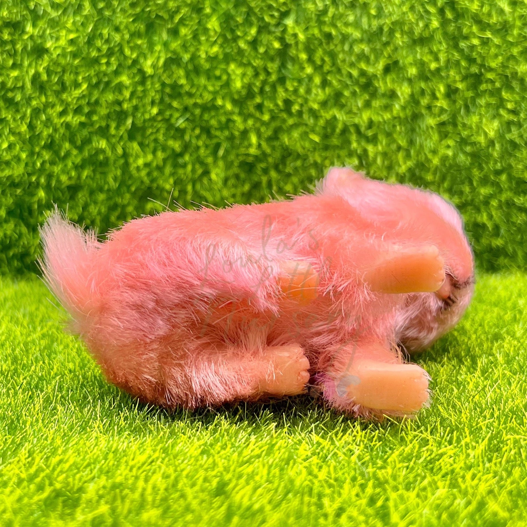BonBon The Chihuahua Puppy - Loula’s Little Nursery