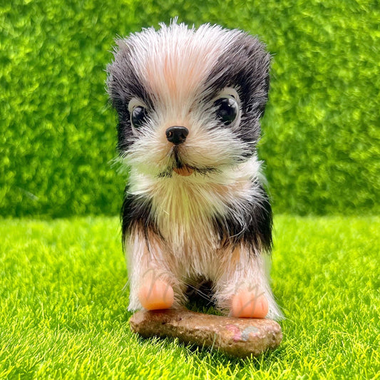 Corey The Border Collie Puppy - Loula’s Little Nursery