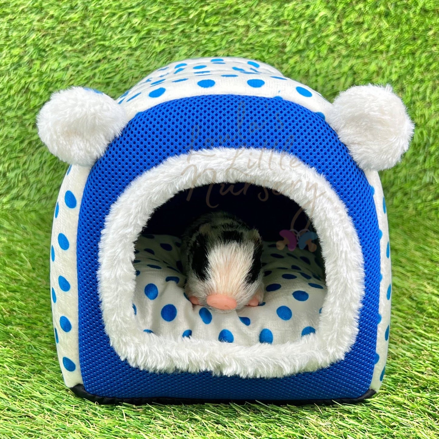 Cute Pop-Up Bed - Loula’s Little Nursery