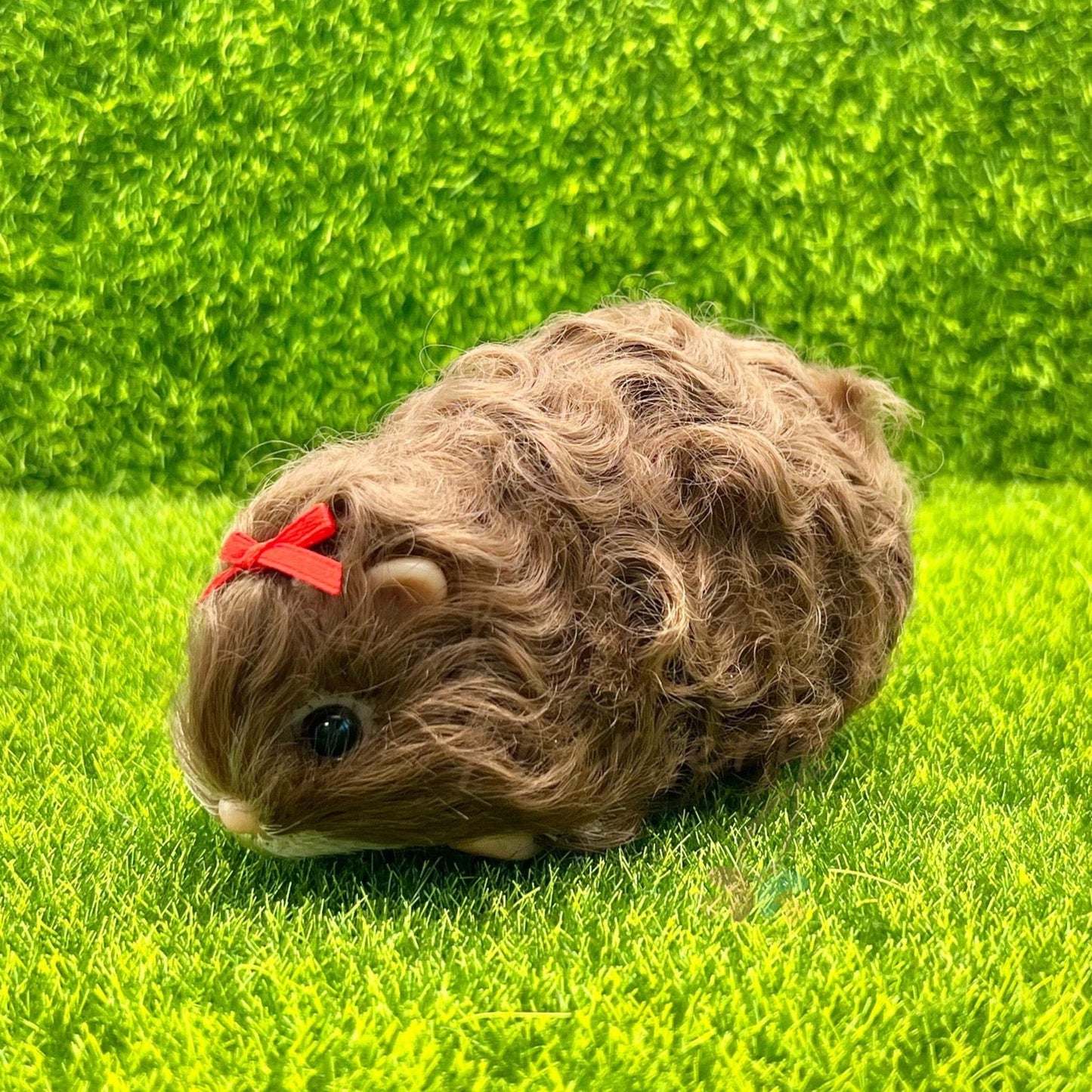 Exclusive Chocolate Brown Texel Guinea Pig - Loula’s Little Nursery