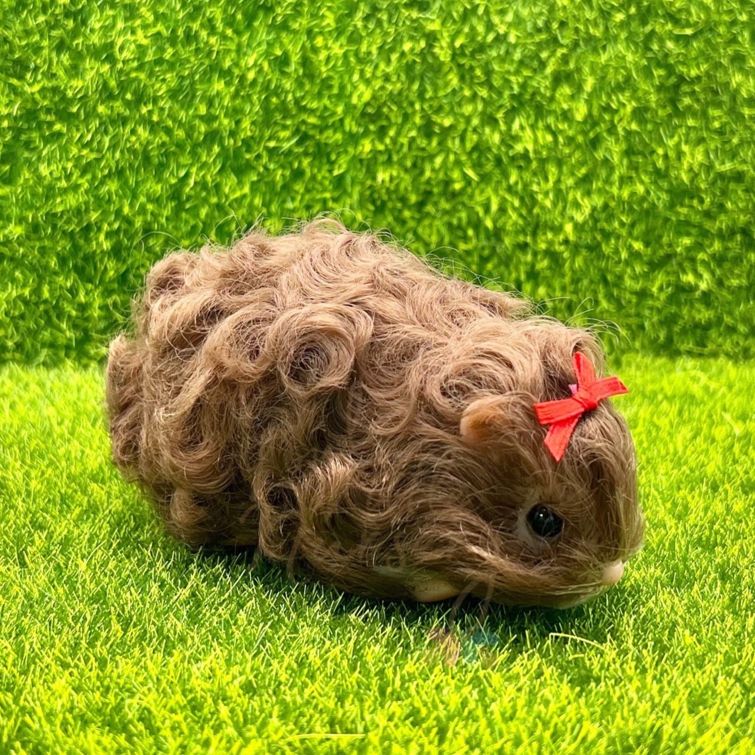 PRE ORDER Chocolate Brown Texel Guinea Pig Loula s Little Nursery