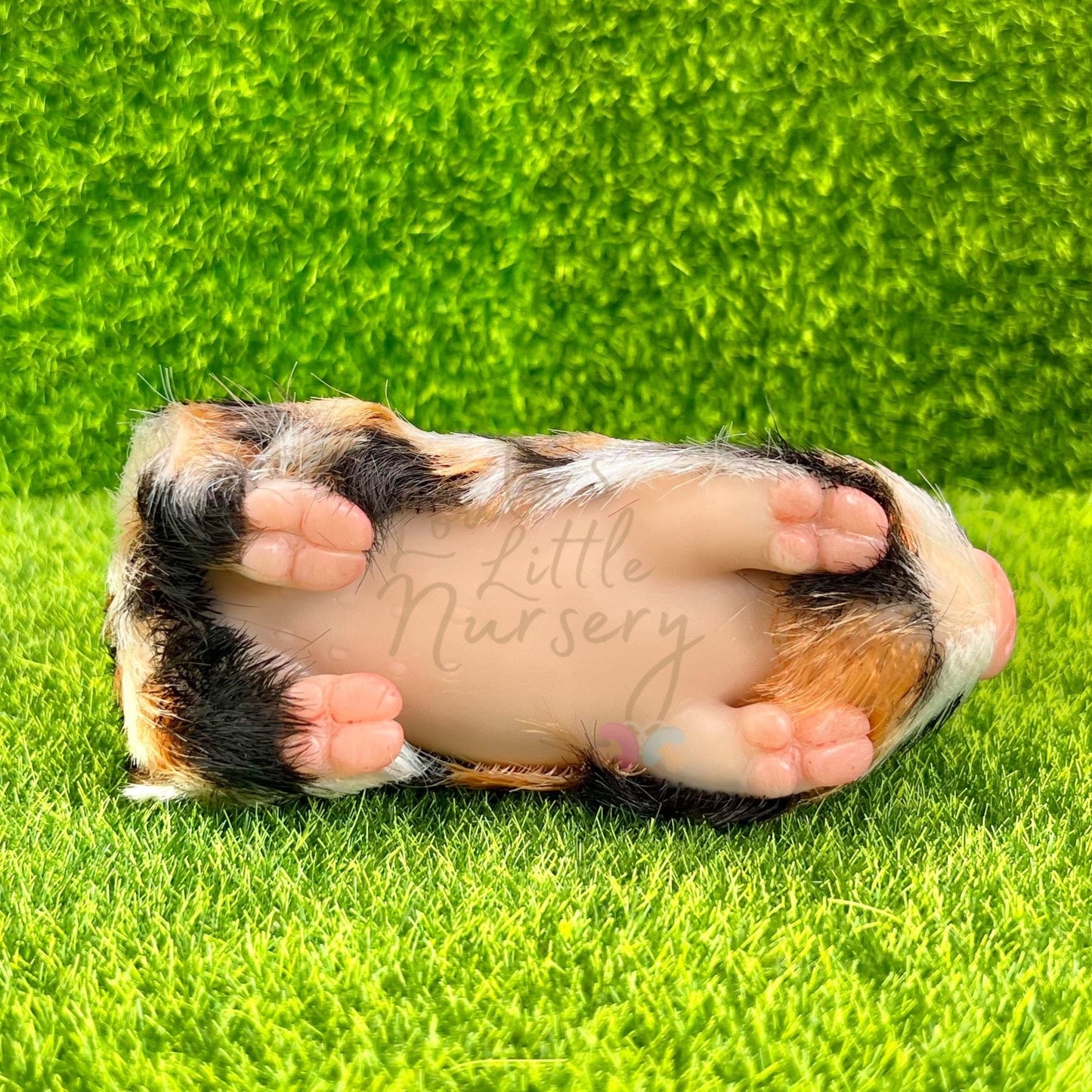 Exclusive Fireball The Long Haired Piglet - Loula’s Little Nursery