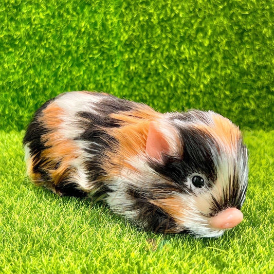 Exclusive Fireball The Long Haired Piglet - Loula’s Little Nursery