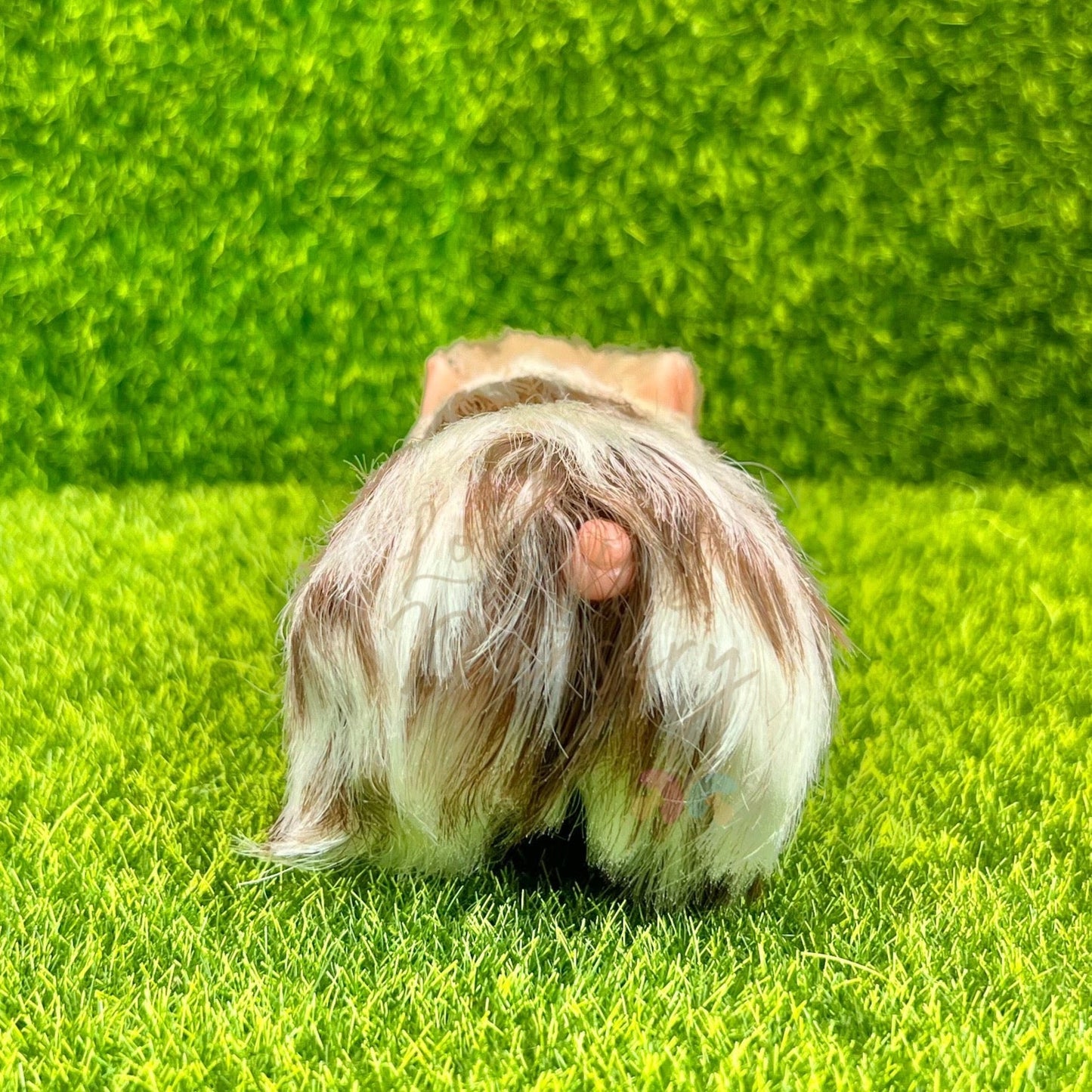 Exclusive Mocha The Long Haired Piglet - Loula’s Little Nursery