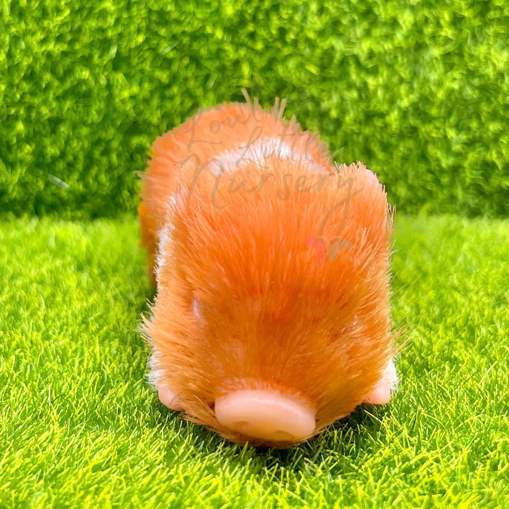 Exclusive Orange Cream Piglet - Loula’s Little Nursery