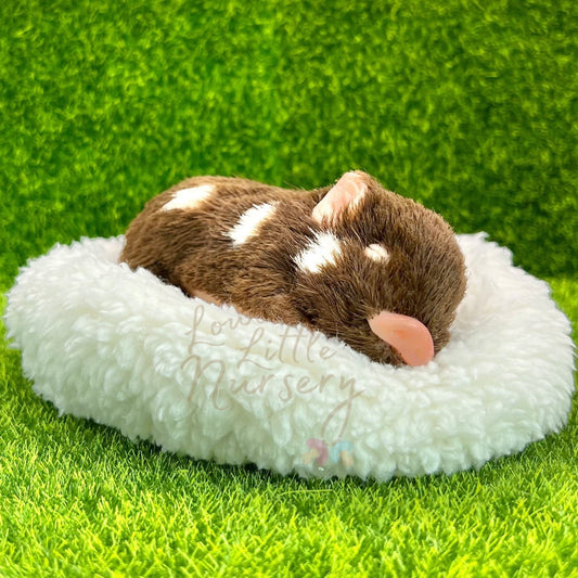 Exclusive Sleeping Chocolate Milkyway Piglet - Loula’s Little Nursery