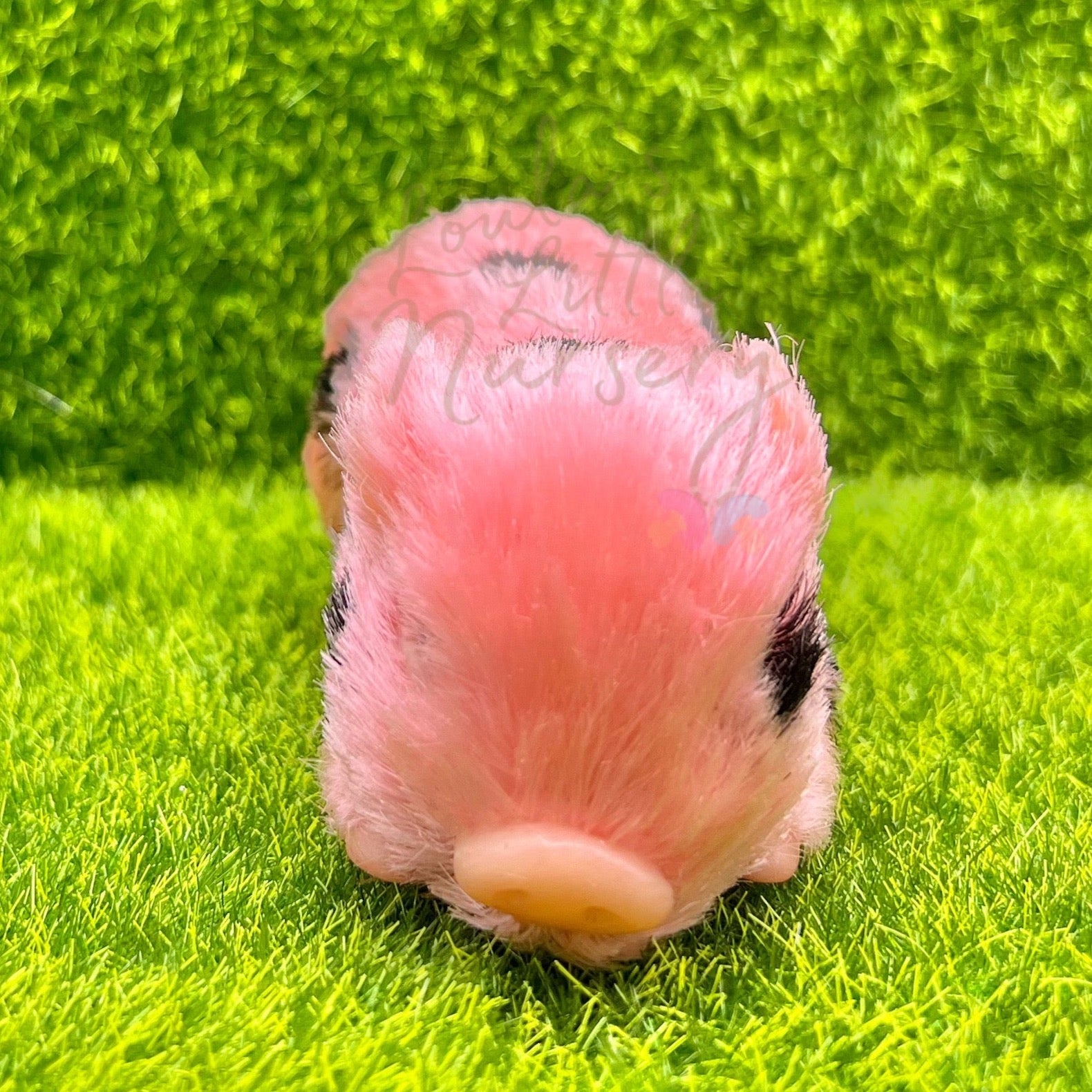 Exclusive Strawberry Chip Piglet - Loula’s Little Nursery