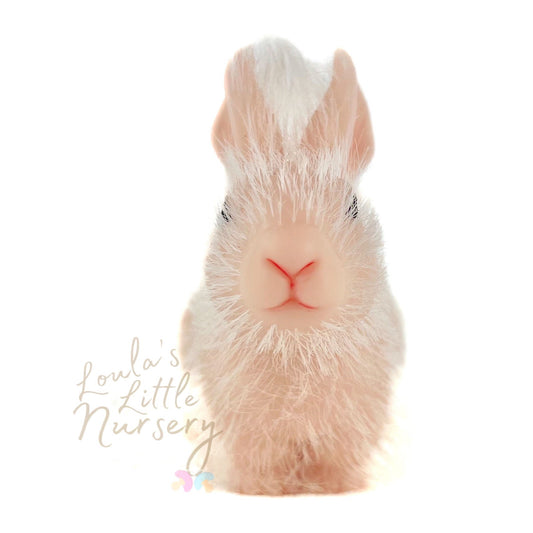 Silicon Rabbit Miniature Silicone Rabbits – Loula’s Little Nursery