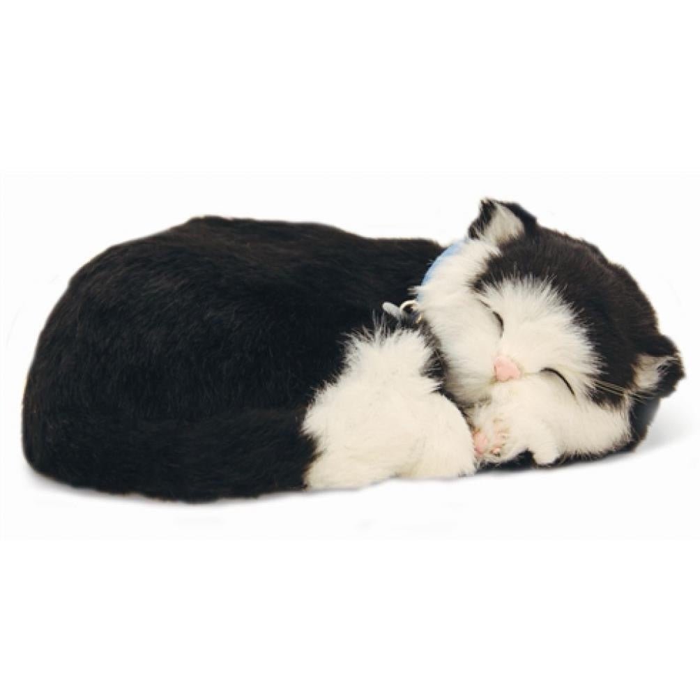 Lifelike Black & White Shorthair Kitten - Loula’s Little Nursery