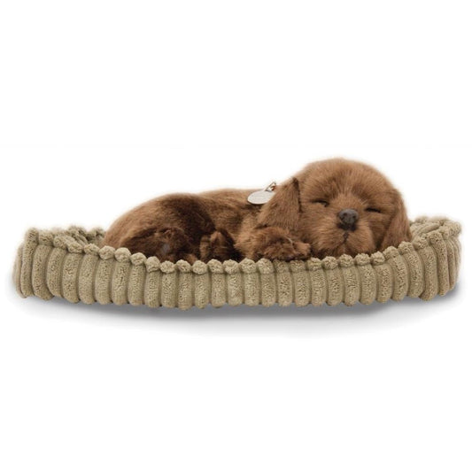 Lifelike Chocolate Lab Puppy - Loula’s Little Nursery