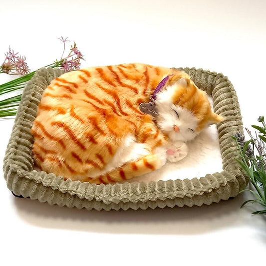 Lifelike Ginger Tabby Kitten - Loula’s Little Nursery