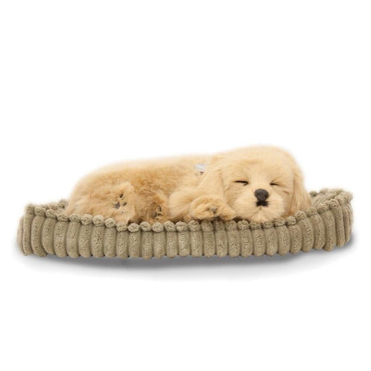 Lifelike Golden Retriever Puppy - Loula’s Little Nursery