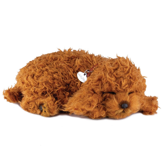 Lifelike Toy Poodle Puppy - Loula’s Little Nursery