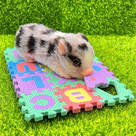Mini Foam Playmat - Loula’s Little Nursery