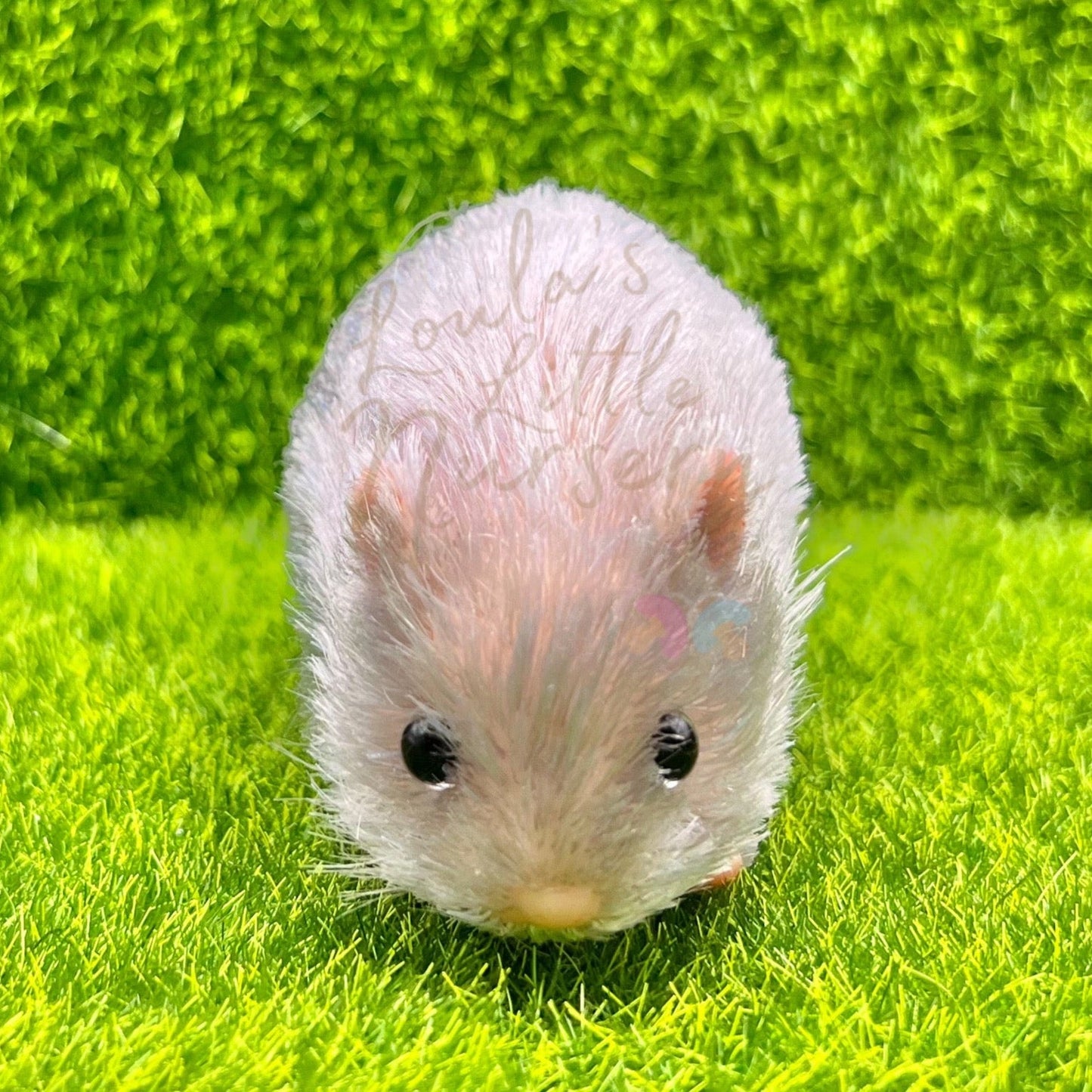 Pearly Syrian Hamster - Loula’s Little Nursery