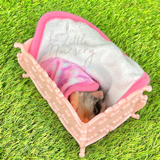 Princess Style Crib - Loula’s Little Nursery
