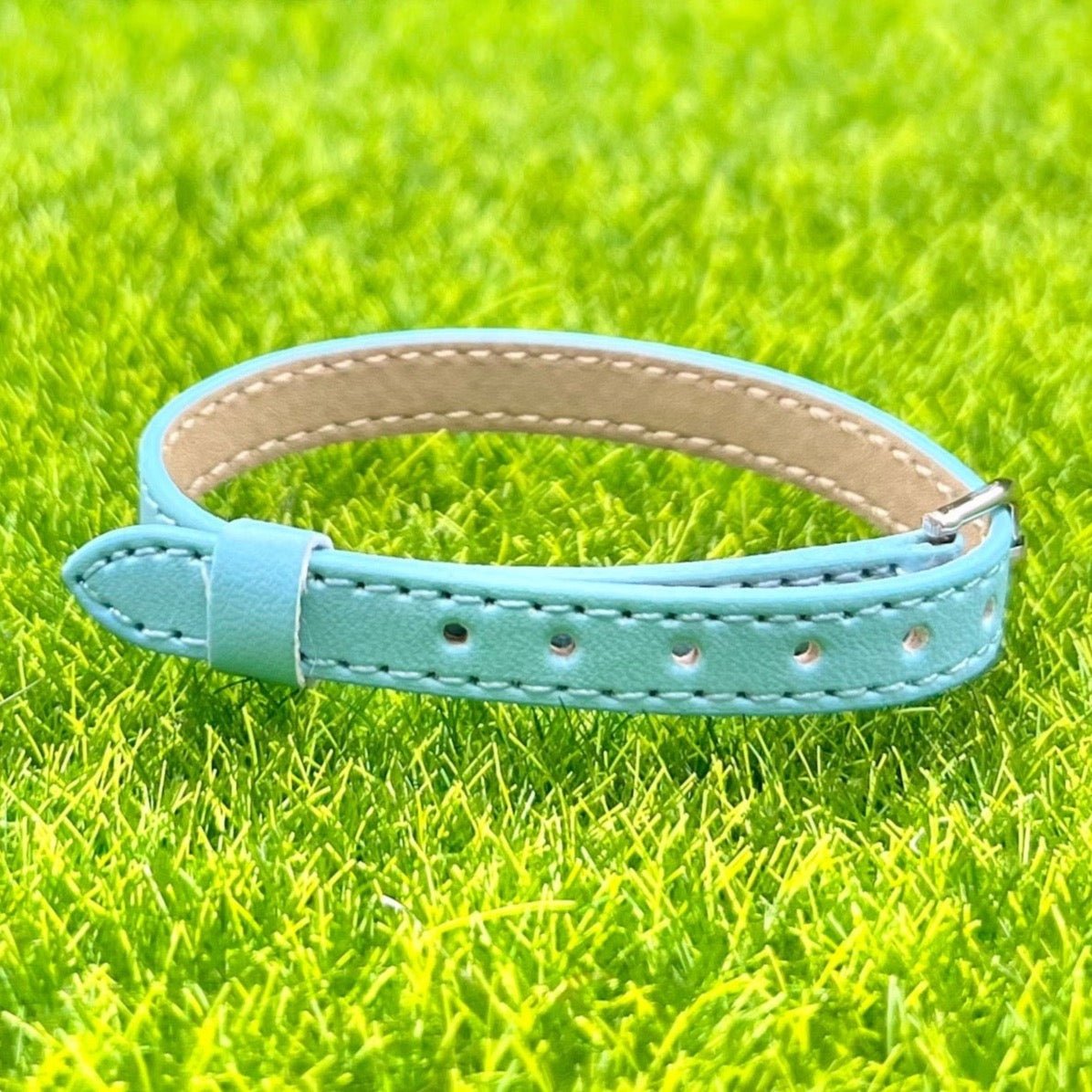 Realistic Leather Collar - Loula’s Little Nursery