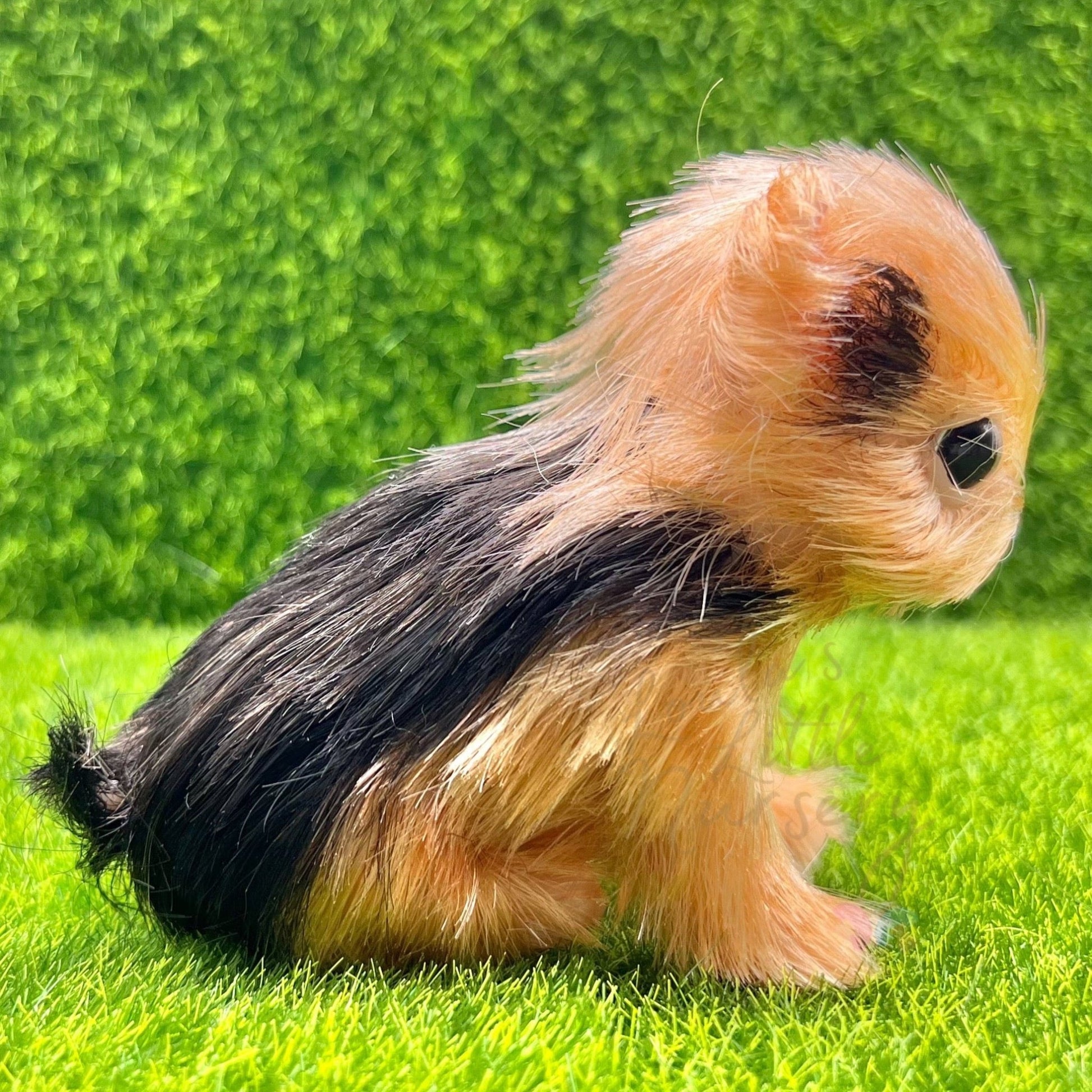 Rover The Yorkshire Terrier Puppy - Loula’s Little Nursery