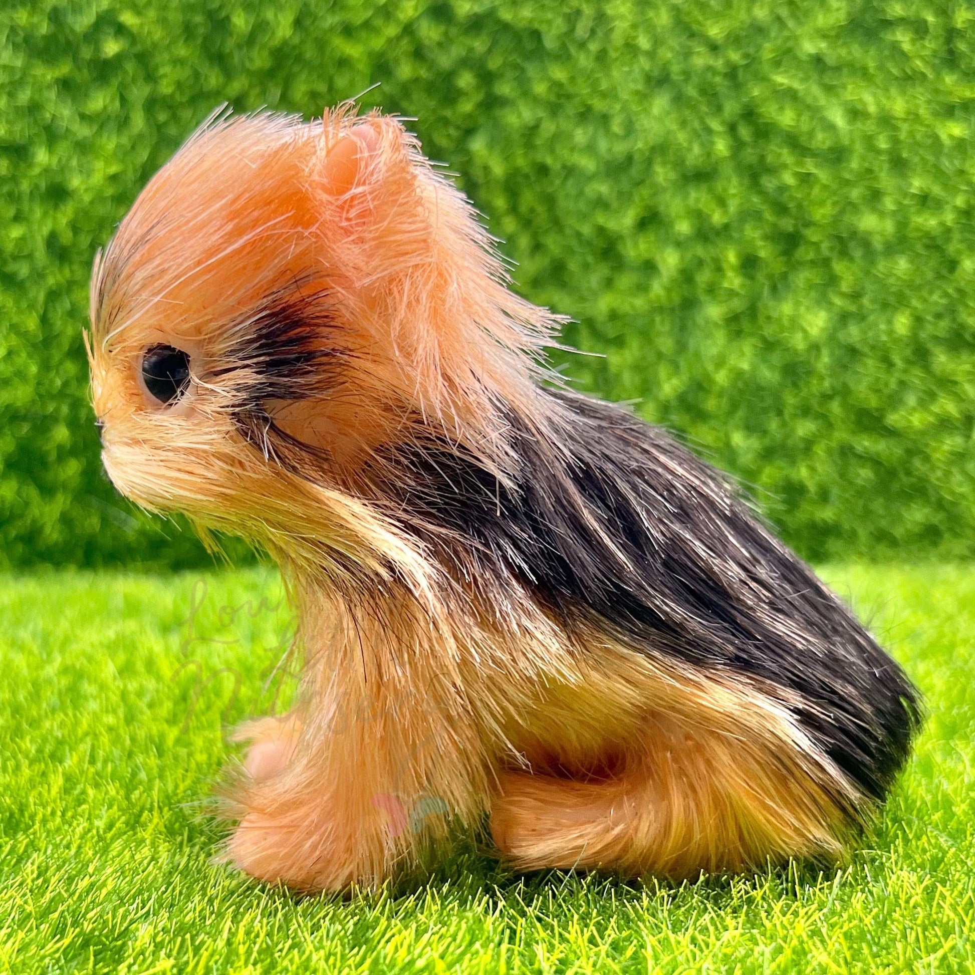 Rover The Yorkshire Terrier Puppy - Loula’s Little Nursery