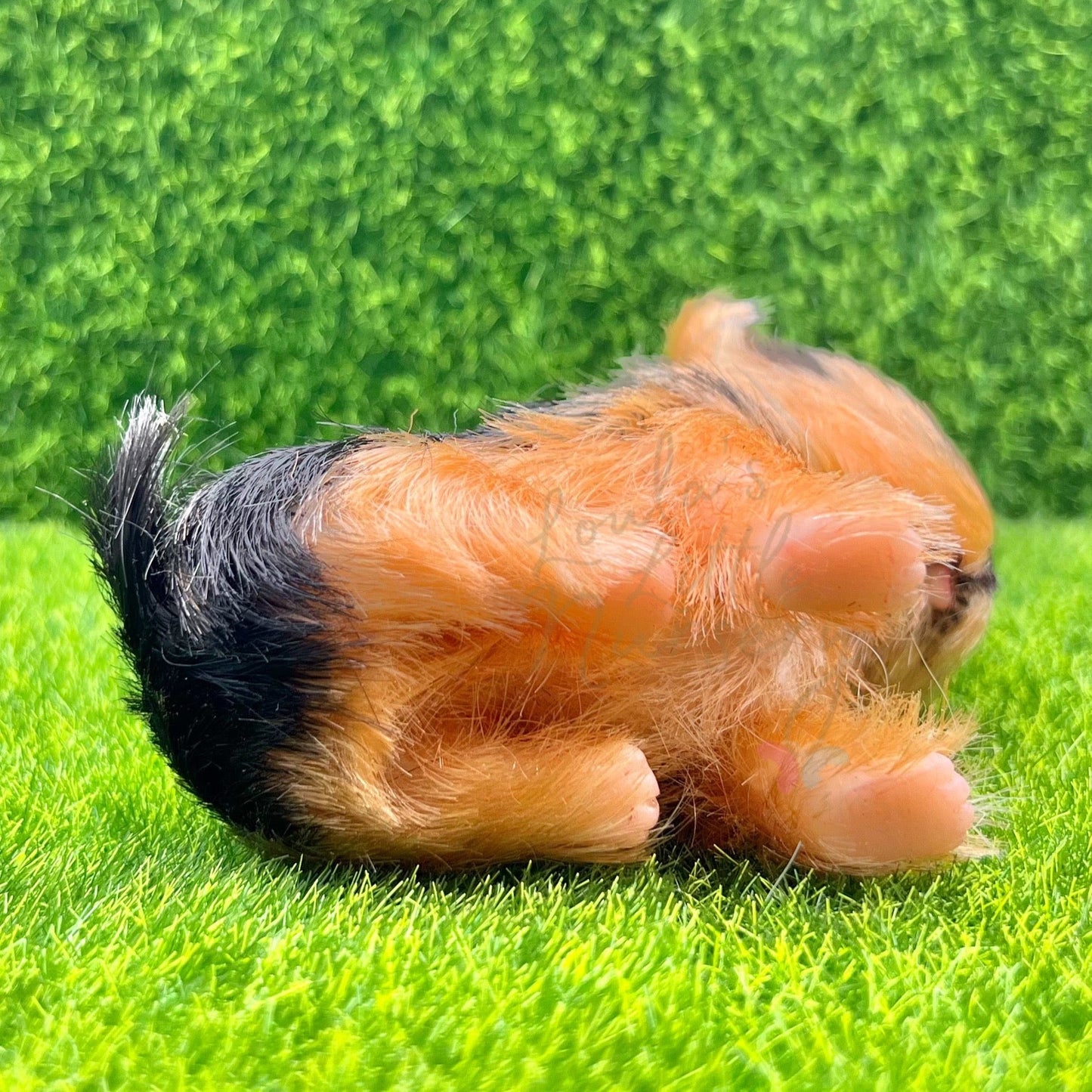 Rover The Yorkshire Terrier Puppy - Loula’s Little Nursery